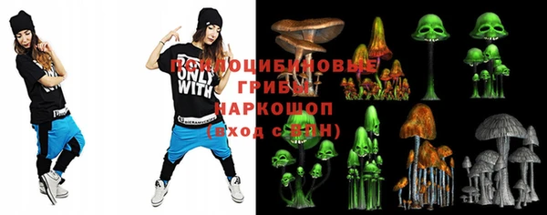 соль ск Аркадак